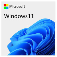 Windows 11 IOT企业版/专业版EMB简包