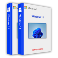 Windows 11 专业U盘系统+密钥