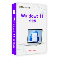 Windows 11 企业版